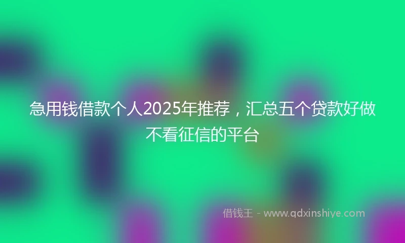 急用钱借款个人2025年推荐，汇总五个贷款好做不看征信的平台