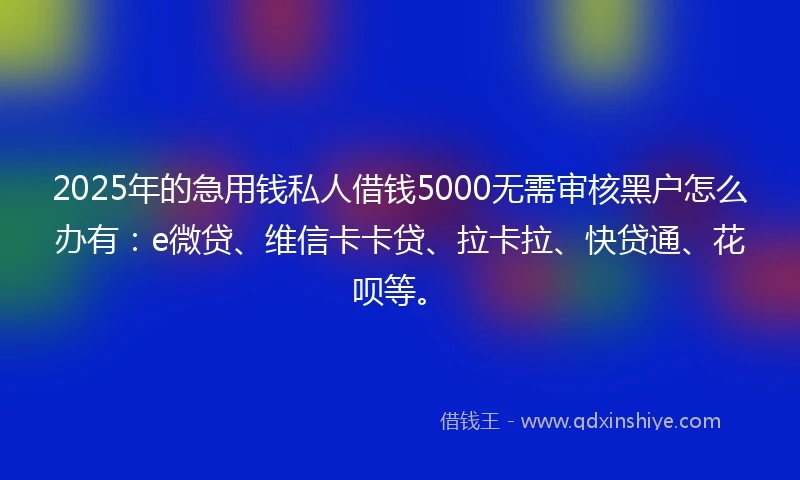 2025年的急用钱私人借钱5000无需审核黑户怎么办有：e微贷、维信卡卡贷、拉卡拉、快贷通、花呗等。