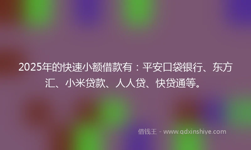 2025年的快速小额借款有：平安口袋银行、东方汇、小米贷款、人人贷、快贷通等。