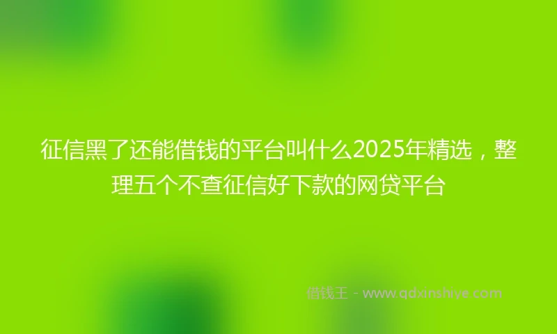 征信黑了还能借钱的平台叫什么2025年精选，整理五个不查征信好下款的网贷平台