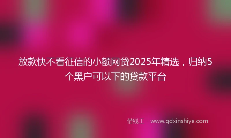 放款快不看征信的小额网贷2025年精选，归纳5个黑户可以下的贷款平台