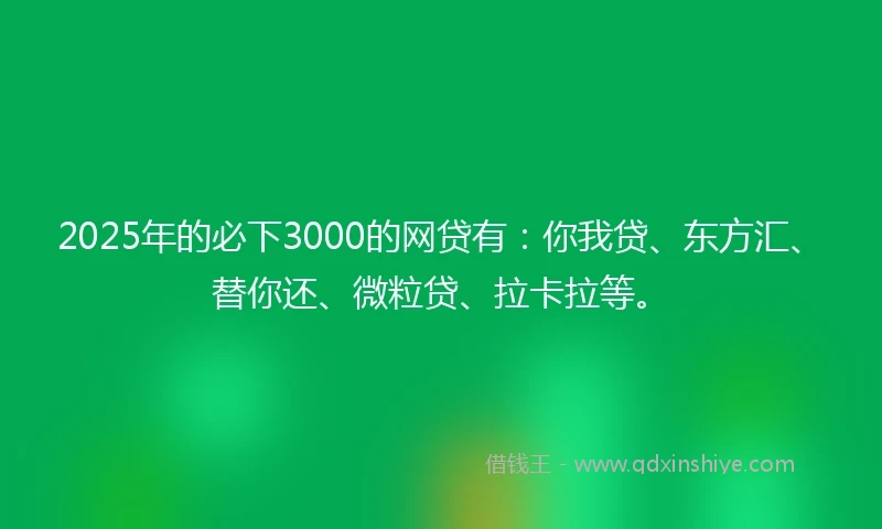 2025年的必下3000的网贷有：你我贷、东方汇、替你还、微粒贷、拉卡拉等。