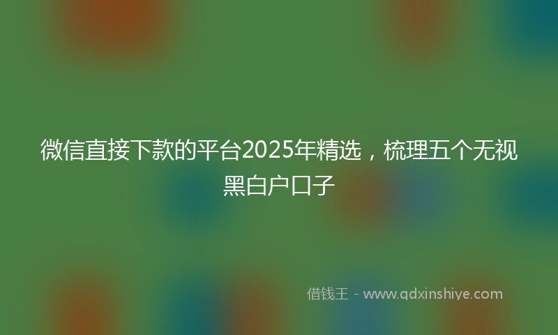 微信直接下款的平台2025年精选，梳理五个无视黑白户口子