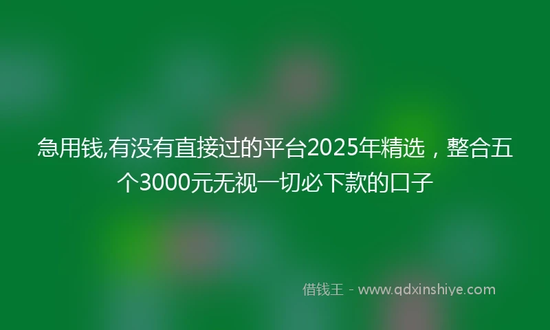 急用钱,有没有直接过的平台2025年精选，整合五个3000元无视一切必下款的口子
