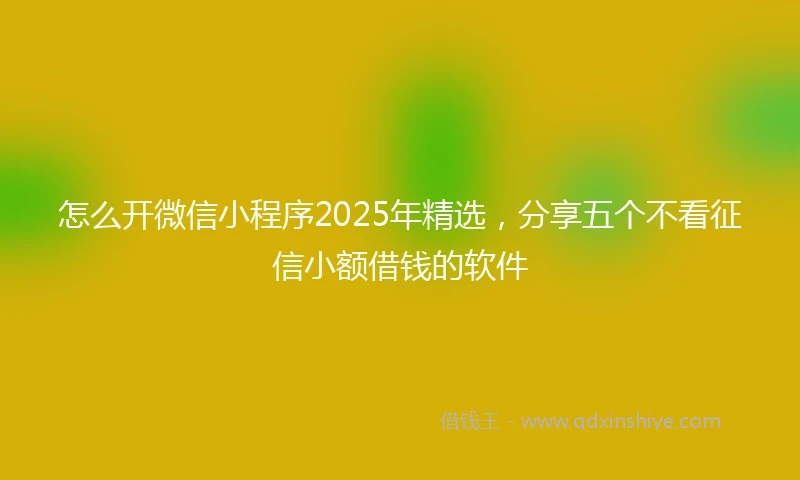 怎么开微信小程序2025年精选，分享五个不看征信小额借钱的软件