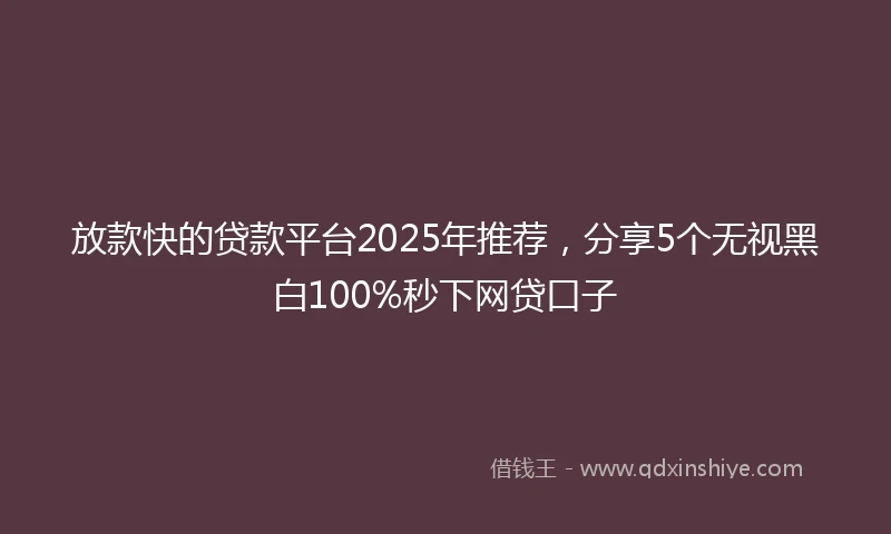放款快的贷款平台2025年推荐，分享5个无视黑白100%秒下网贷口子