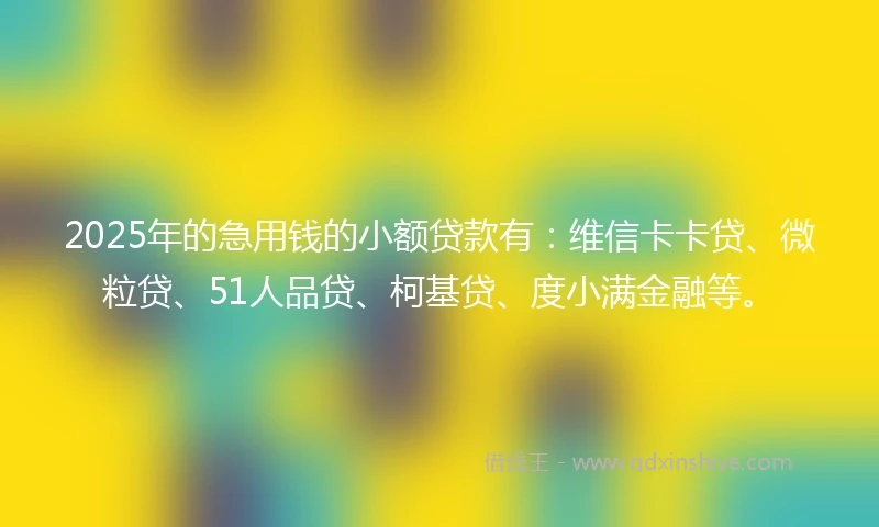 2025年的急用钱的小额贷款有：维信卡卡贷、微粒贷、51人品贷、柯基贷、度小满金融等。
