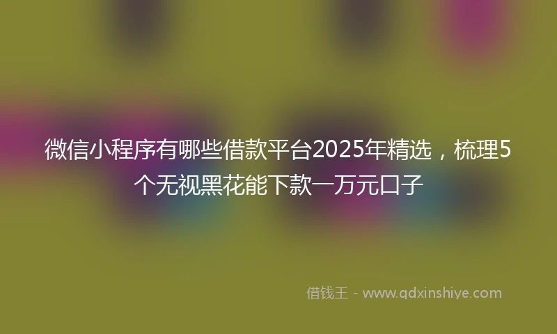 微信小程序有哪些借款平台2025年精选，梳理5个无视黑花能下款一万元口子