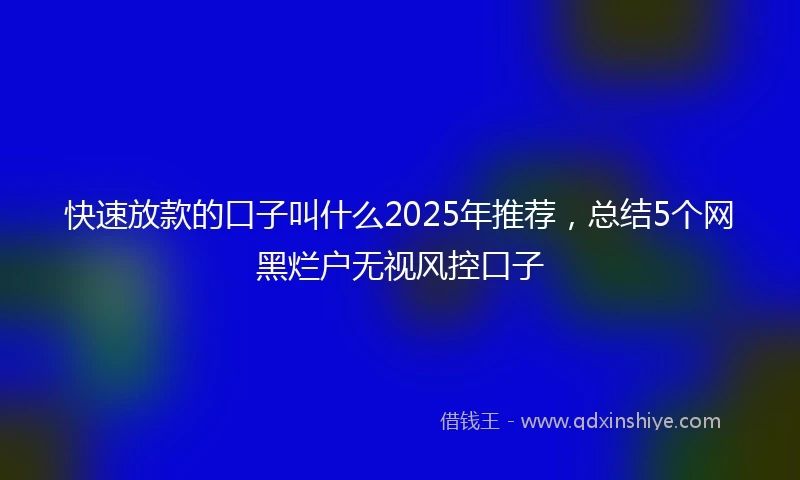 快速放款的口子叫什么2025年推荐，总结5个网黑烂户无视风控口子