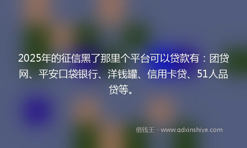 2025年的征信黑了那里个平台可以贷款有:团贷网、平安口袋银行、洋钱罐、信用卡贷、51人品贷等。