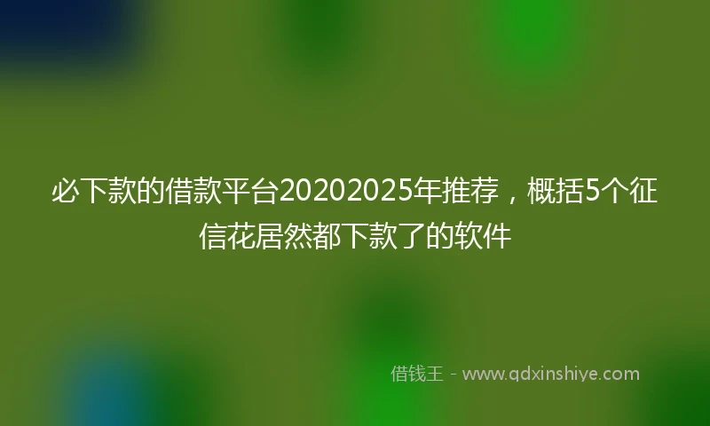 必下款的借款平台20202025年推荐，概括5个征信花居然都下款了的软件