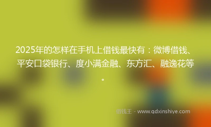 2025年的怎样在手机上借钱最快有：微博借钱、平安口袋银行、度小满金融、东方汇、融逸花等。