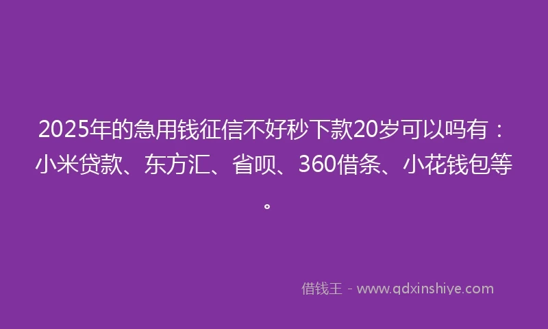 2025年的急用钱征信不好秒下款20岁可以吗有：小米贷款、东方汇、省呗、360借条、小花钱包等。