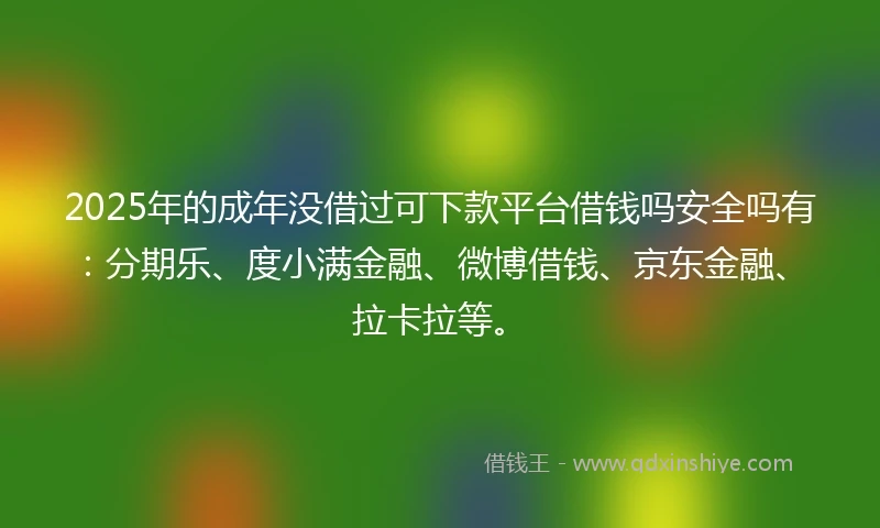 2025年的成年没借过可下款平台借钱吗安全吗有：分期乐、度小满金融、微博借钱、京东金融、拉卡拉等。