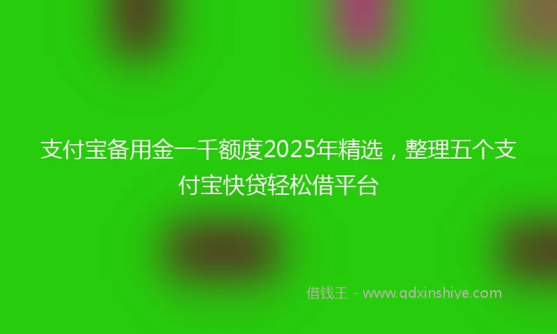 支付宝备用金一千额度2025年精选，整理五个支付宝快贷轻松借平台