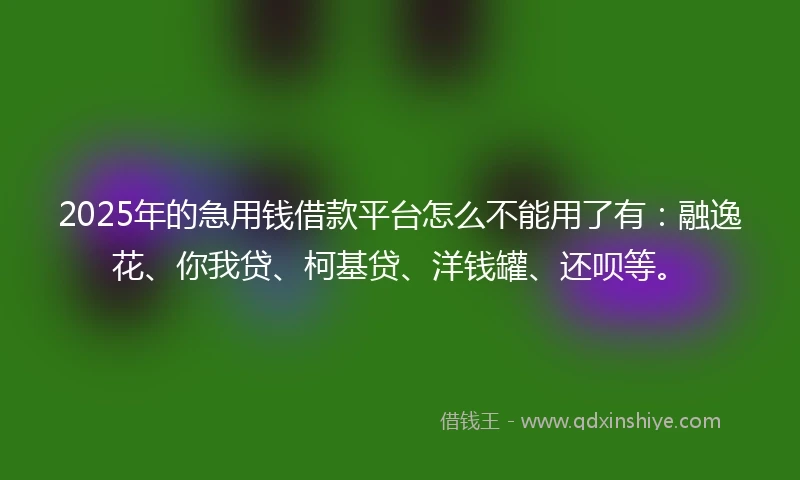 2025年的急用钱借款平台怎么不能用了有：融逸花、你我贷、柯基贷、洋钱罐、还呗等。