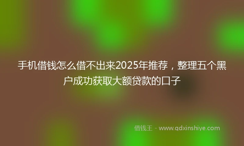 手机借钱怎么借不出来2025年推荐，整理五个黑户成功获取大额贷款的口子
