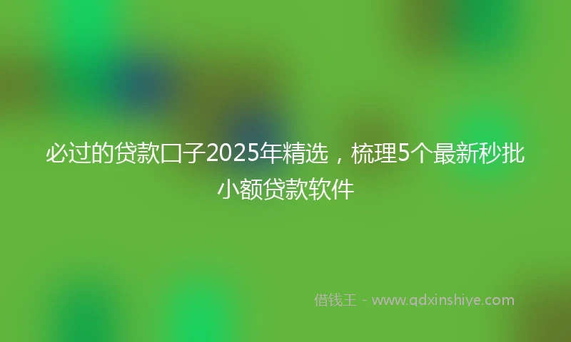 必过的贷款囗子2025年精选，梳理5个最新秒批小额贷款软件