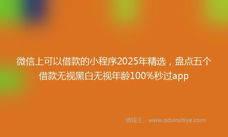 微信上可以借款的小程序2025年精选，盘点五个借款无视黑白无视年龄100%秒过app