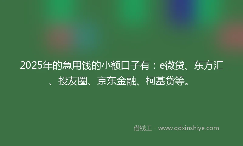 2025年的急用钱的小额口子有：e微贷、东方汇、投友圈、京东金融、柯基贷等。