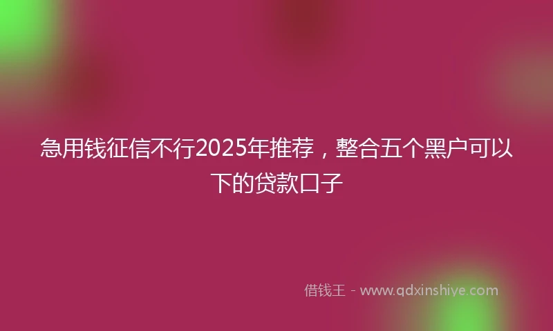 急用钱征信不行2025年推荐，整合五个黑户可以下的贷款口子