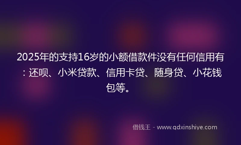 2025年的支持16岁的小额借款件没有任何信用有：还呗、小米贷款、信用卡贷、随身贷、小花钱包等。