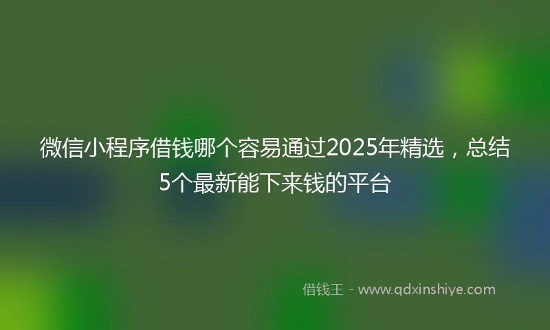 微信小程序借钱哪个容易通过2025年精选,总结5个最新能下来钱的平台