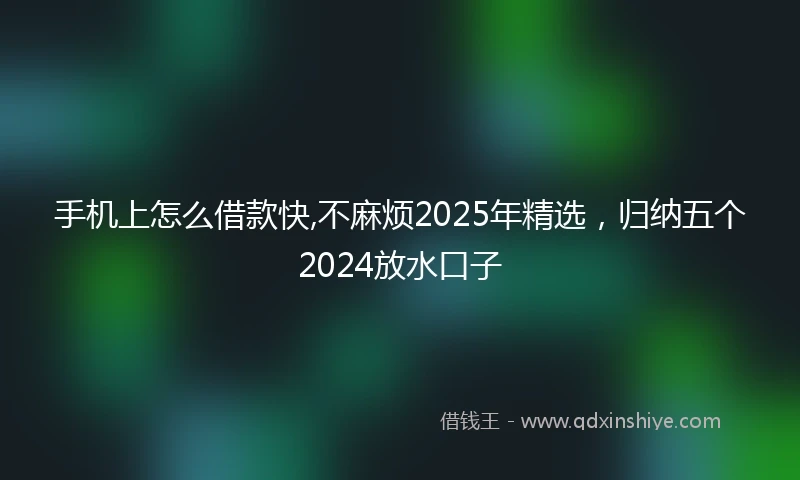 手机上怎么借款快,不麻烦2025年精选，归纳五个2024放水口子