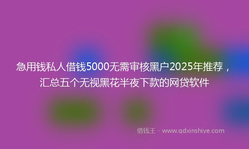 急用钱私人借钱5000无需审核黑户2025年推荐，汇总五个无视黑花半夜下款的网贷软件