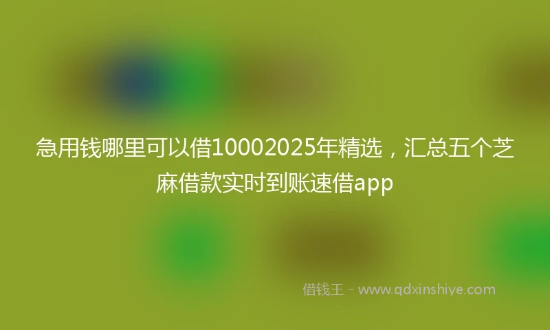 急用钱哪里可以借10002025年精选，汇总五个芝麻借款实时到账速借app