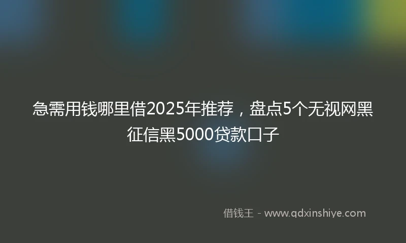 急需用钱哪里借2025年推荐，盘点5个无视网黑征信黑5000贷款口子