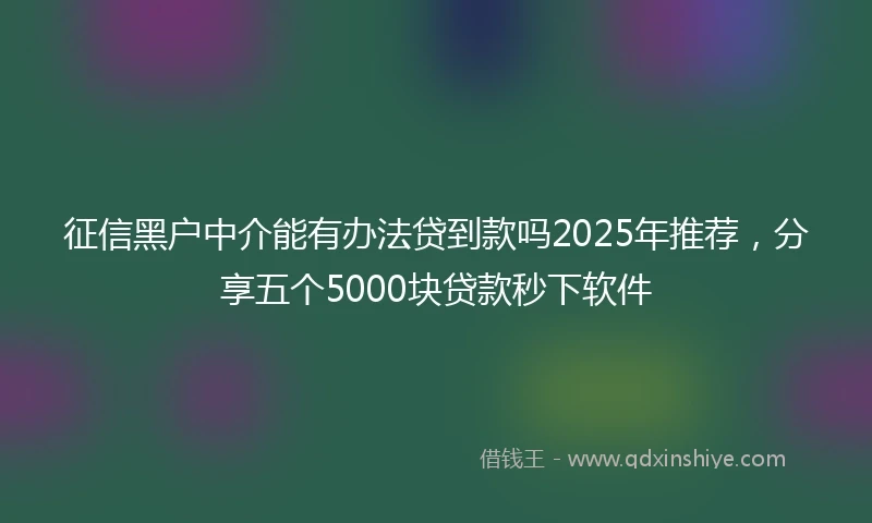 征信黑户中介能有办法贷到款吗2025年推荐，分享五个5000块贷款秒下软件