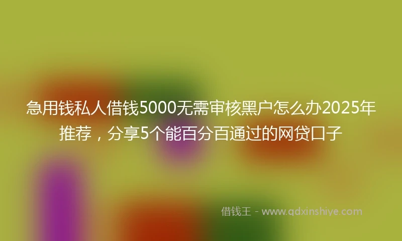 急用钱私人借钱5000无需审核黑户怎么办2025年推荐，分享5个能百分百通过的网贷口子
