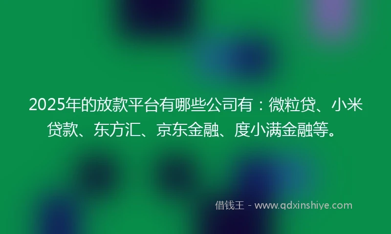 2025年的放款平台有哪些公司有：微粒贷、小米贷款、东方汇、京东金融、度小满金融等。