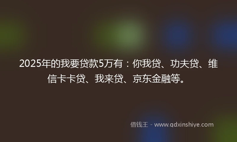 2025年的我要贷款5万有:你我贷、功夫贷、维信卡卡贷、我来贷、京东金融等。