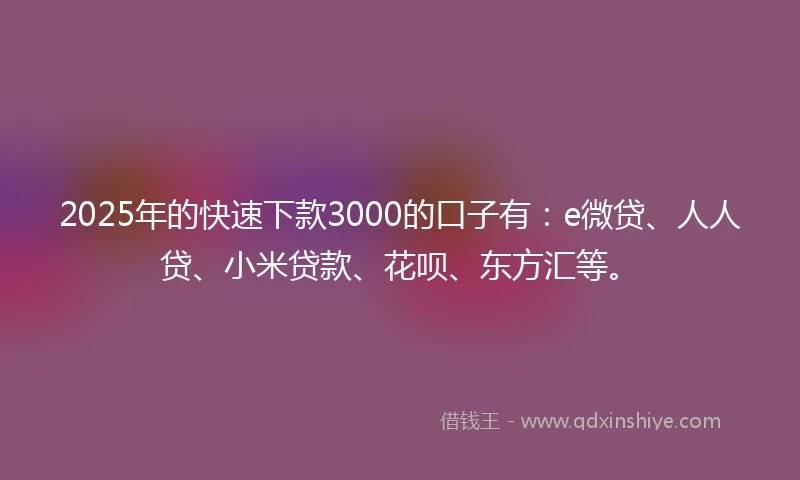 2025年的快速下款3000的口子有：e微贷、人人贷、小米贷款、花呗、东方汇等。