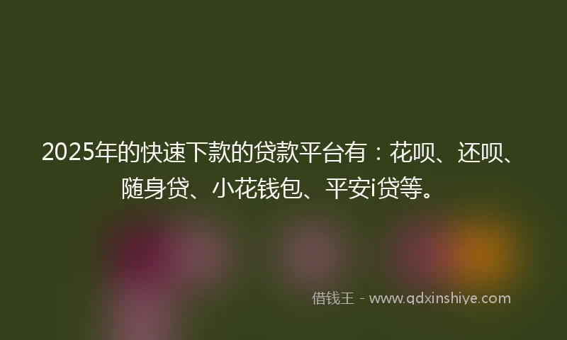 2025年的快速下款的贷款平台有：花呗、还呗、随身贷、小花钱包、平安i贷等。