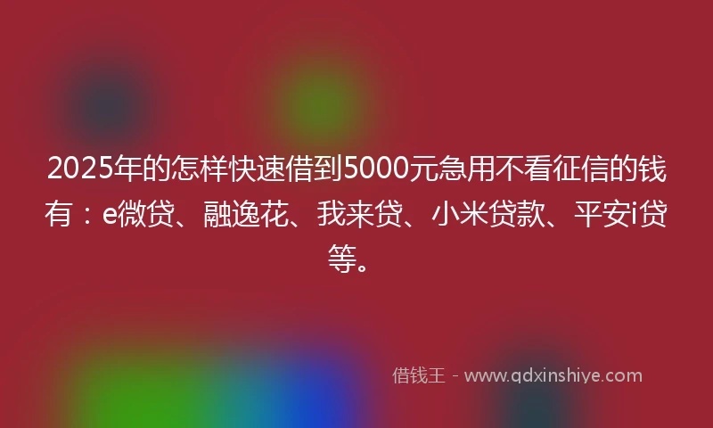 2025年的怎样快速借到5000元急用不看征信的钱有：e微贷、融逸花、我来贷、小米贷款、平安i贷等。