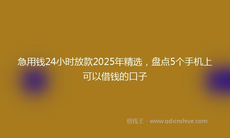 急用钱24小时放款2025年精选，盘点5个手机上可以借钱的口子