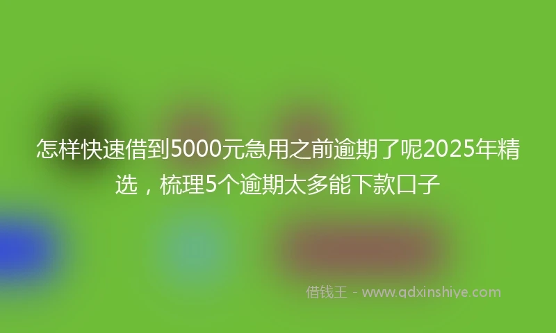 怎样快速借到5000元急用之前逾期了呢2025年精选，梳理5个逾期太多能下款口子