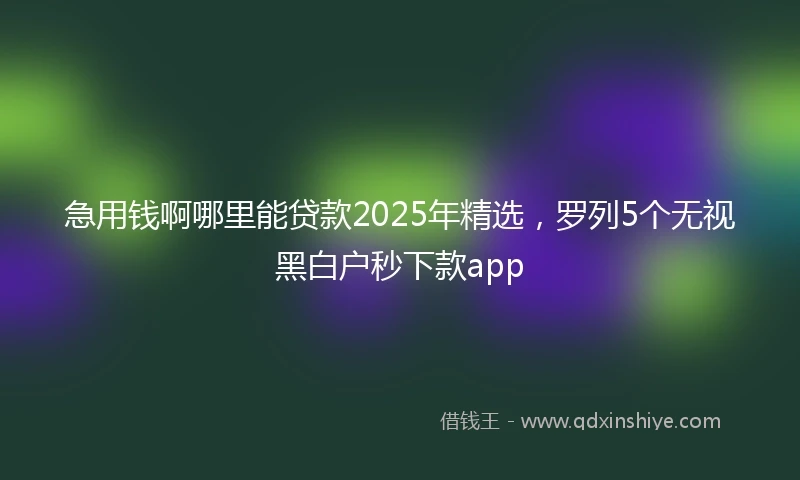 急用钱啊哪里能贷款2025年精选，罗列5个无视黑白户秒下款app