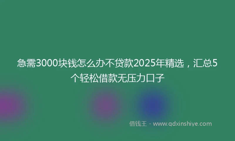 急需3000块钱怎么办不贷款2025年精选，汇总5个轻松借款无压力口子