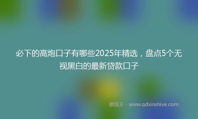 必下的高炮口子有哪些2025年精选，盘点5个无视黑白的最新贷款口子