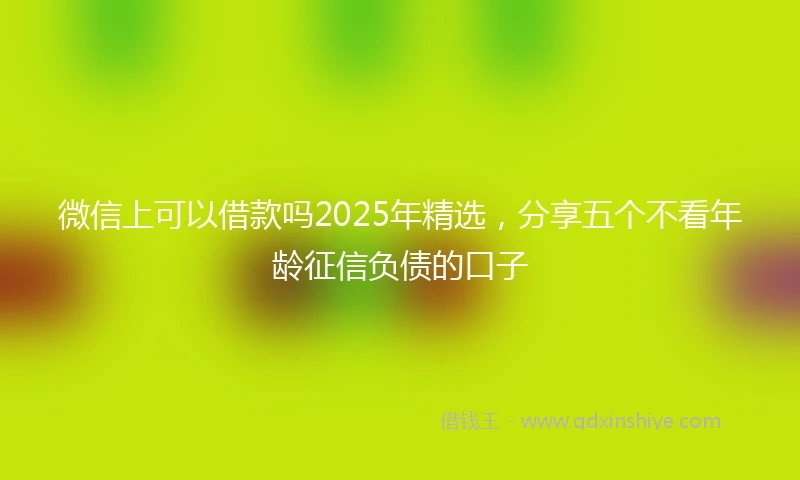 微信上可以借款吗2025年精选，分享五个不看年龄征信负债的口子