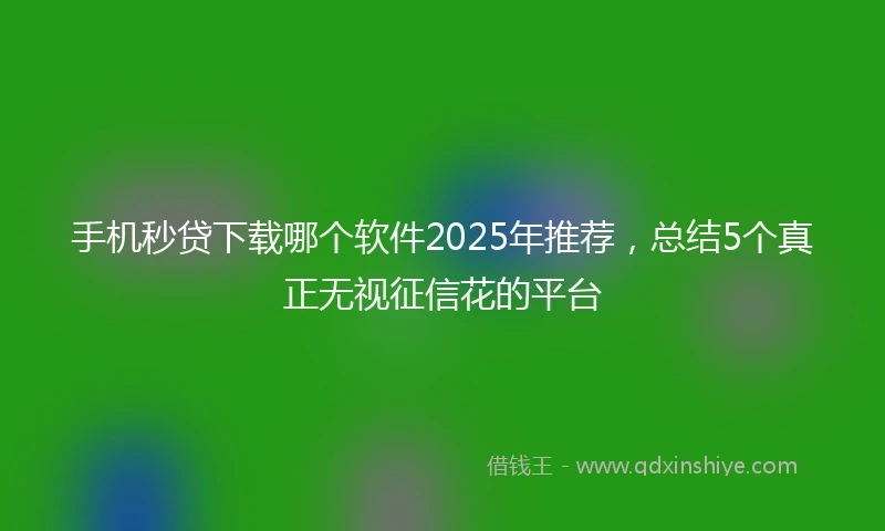 手机秒贷下载哪个软件2025年推荐，总结5个真正无视征信花的平台