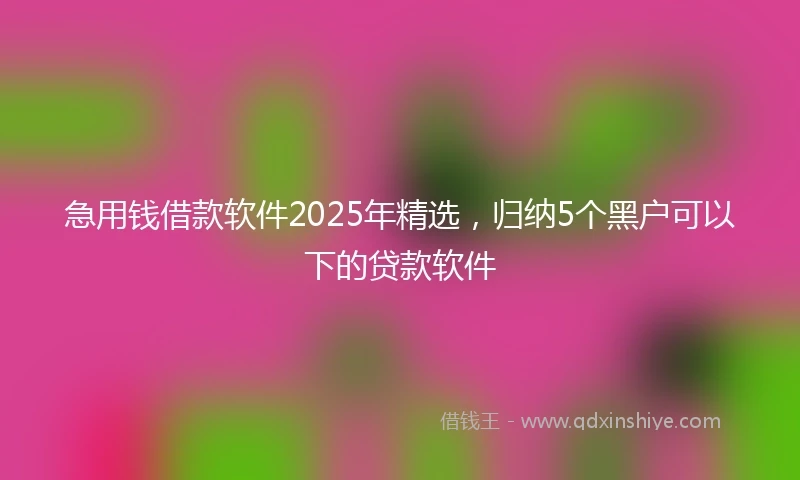 急用钱借款软件2025年精选，归纳5个黑户可以下的贷款软件
