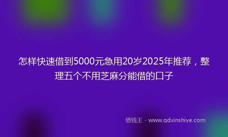 怎样快速借到5000元急用20岁2025年推荐，整理五个不用芝麻分能借的口子