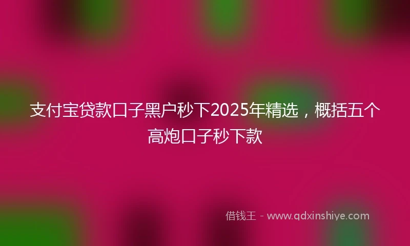 支付宝贷款口子黑户秒下2025年精选，概括五个高炮口子秒下款