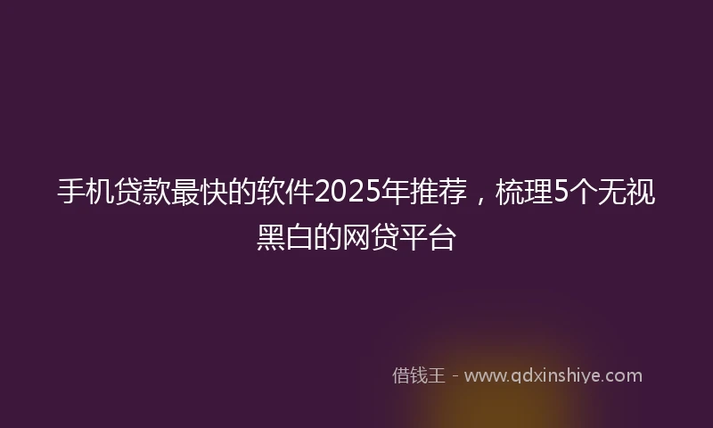 手机贷款最快的软件2025年推荐，梳理5个无视黑白的网贷平台