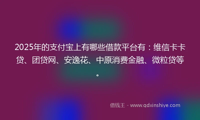2025年的支付宝上有哪些借款平台有：维信卡卡贷、团贷网、安逸花、中原消费金融、微粒贷等。